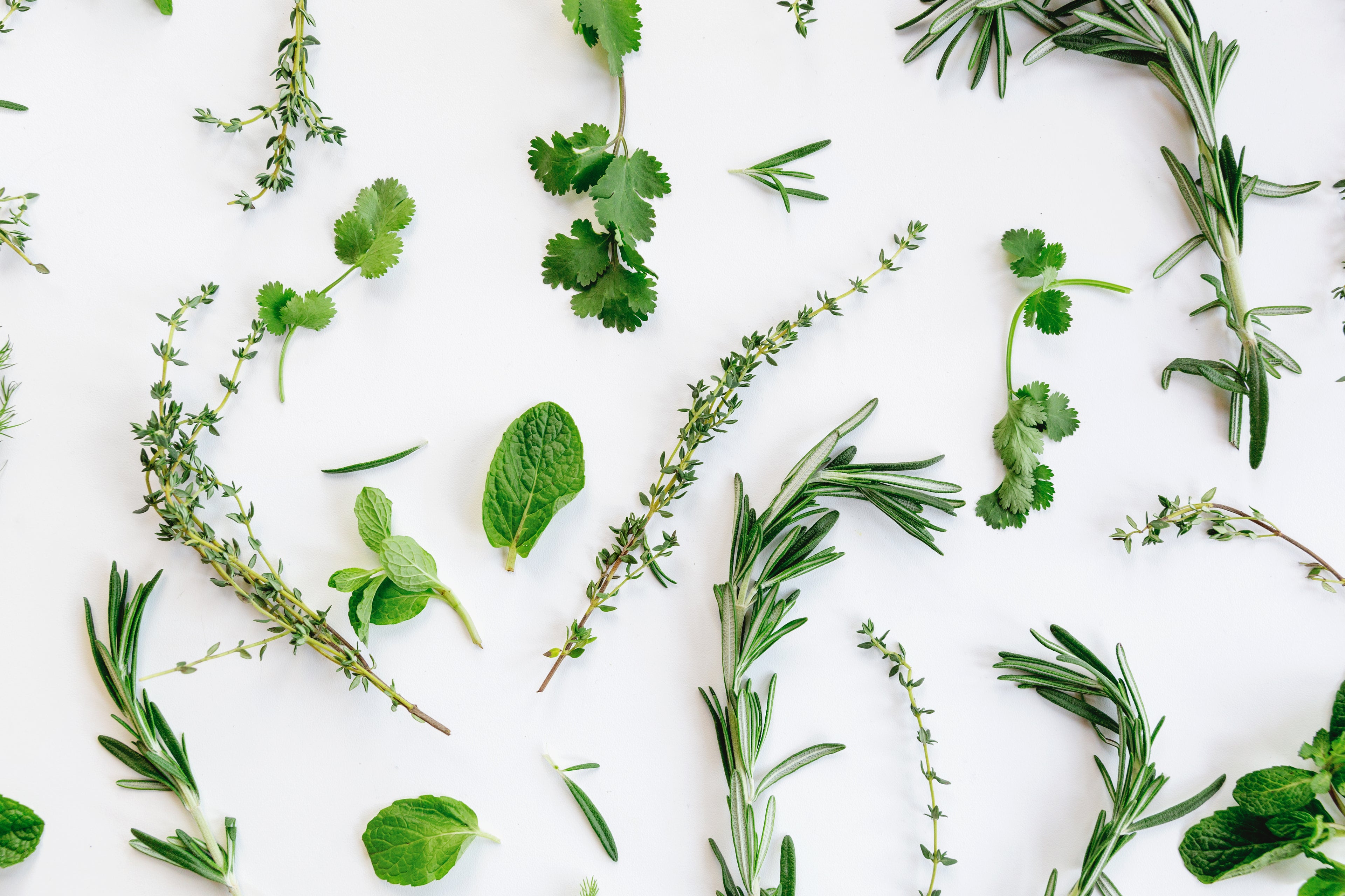 Egyptian herbs